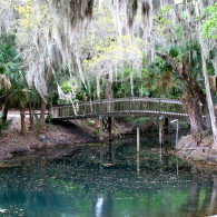 Nature’s Bridge