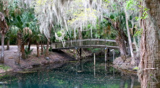 Nature’s Bridge