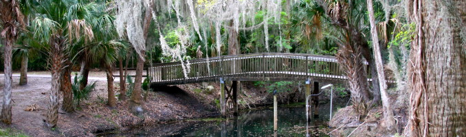 Nature’s Bridge