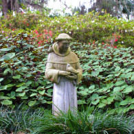 Saint Francis