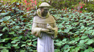 Saint Francis