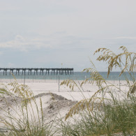 Sea Oats & Pier