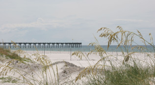 Sea Oats & Pier