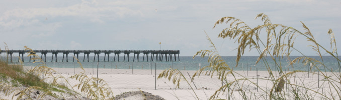 Sea Oats & Pier